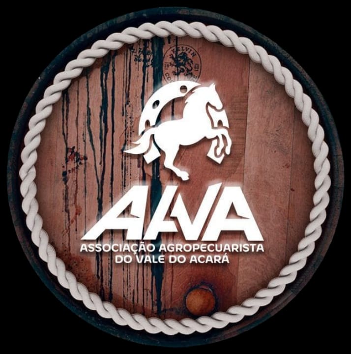 AAVA Logo